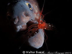 "Dentist" by Walter Bassi 